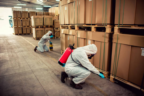 Best Affordable Pest Control Services  in Maysville, GA