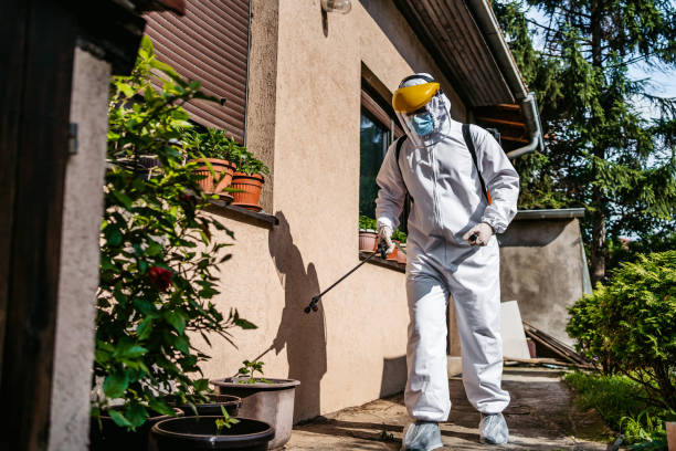 Best Bed Bug Extermination  in Maysville, GA