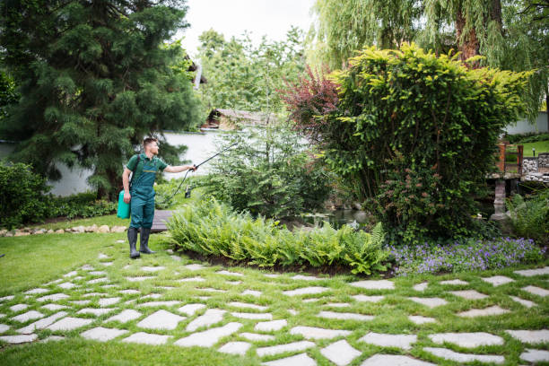 Best Mosquito Control Services  in Maysville, GA