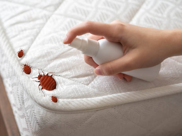 Pest Prevention Services in Maysville, GA