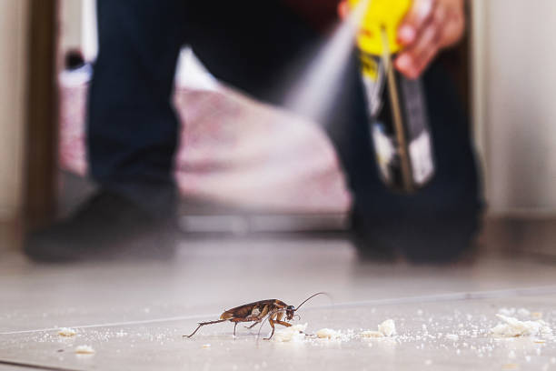 Best Exterminator Services  in Maysville, GA