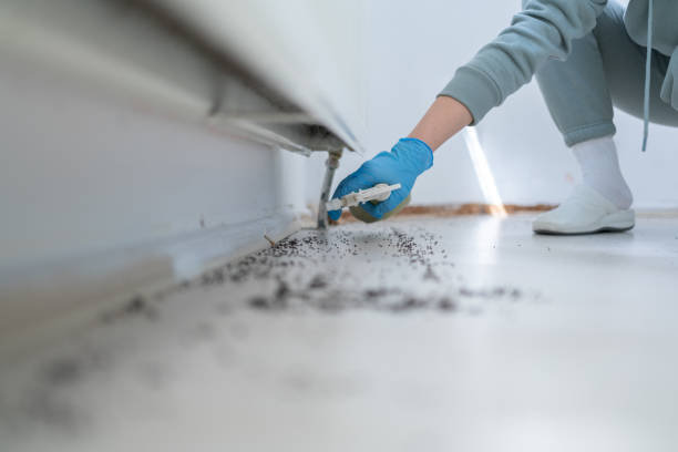 Best Best Pest Control Companies  in Maysville, GA