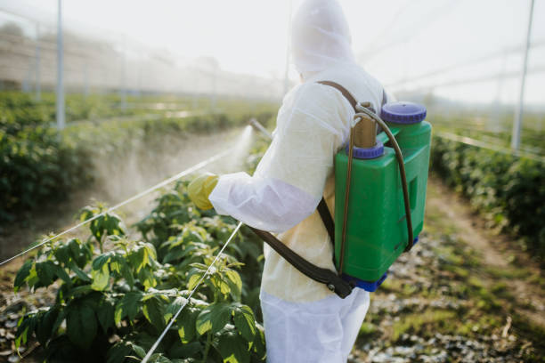 Best Pest Control Near Me  in Maysville, GA